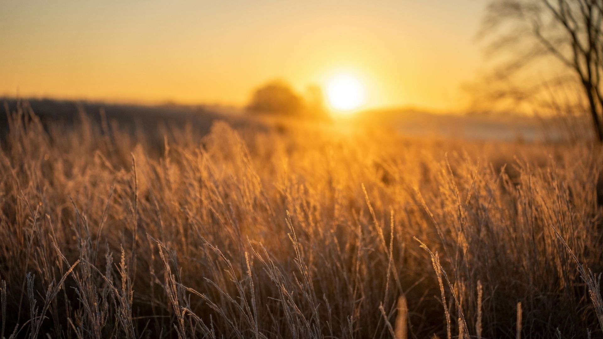 Naturupplevelser efter solnedgången – lugn, närvaro och naturnära hälsa